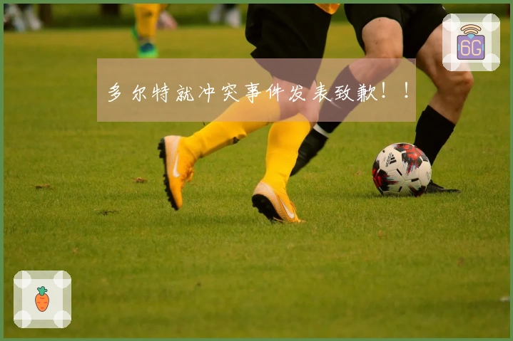 多尔特就冲突事件发表致歉！！